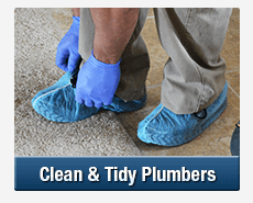 Tidy Plumbers Hoxton Park